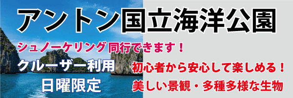 クルーザー利用マリンパーク2ダイブ