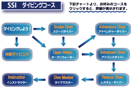 PADI ライセンス取得コース イメージ10
