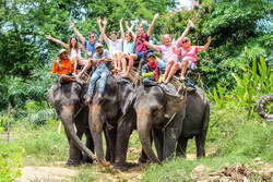 elephant-trekking-01