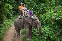 elephant-trekking-02